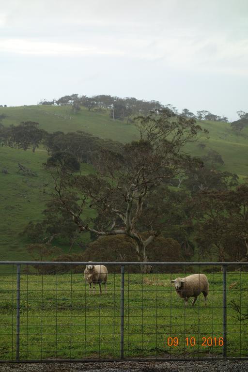 Morella Farmstay Cape Jervis Exterior photo