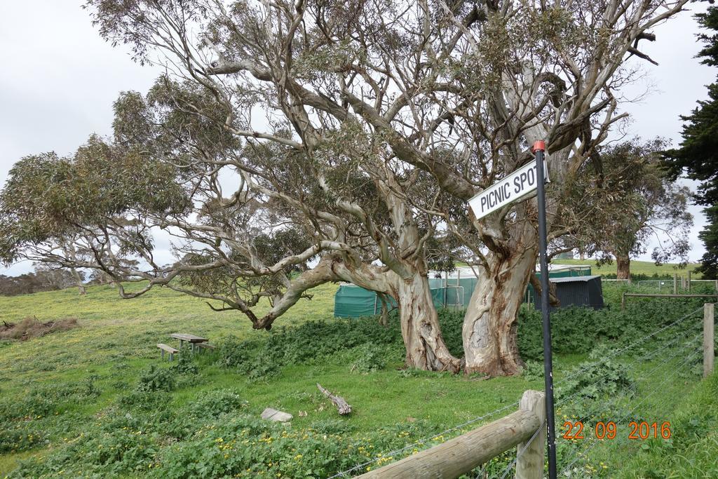 Morella Farmstay Cape Jervis Exterior photo