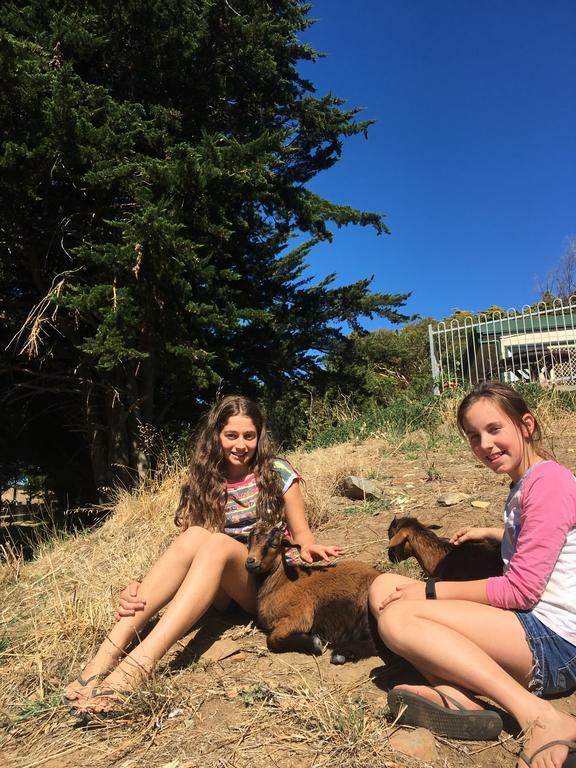 Morella Farmstay Cape Jervis Exterior photo