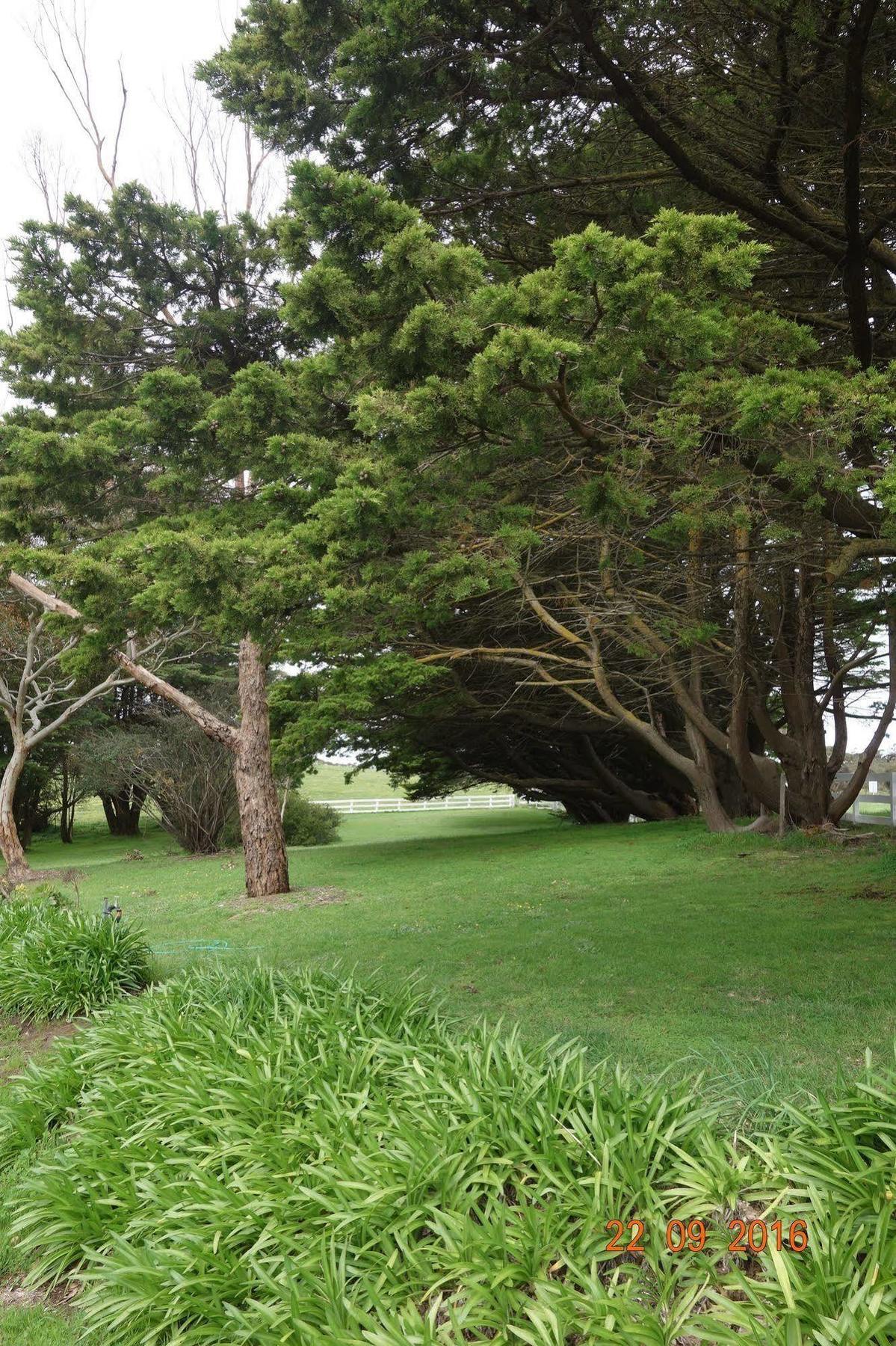 Morella Farmstay Cape Jervis Exterior photo