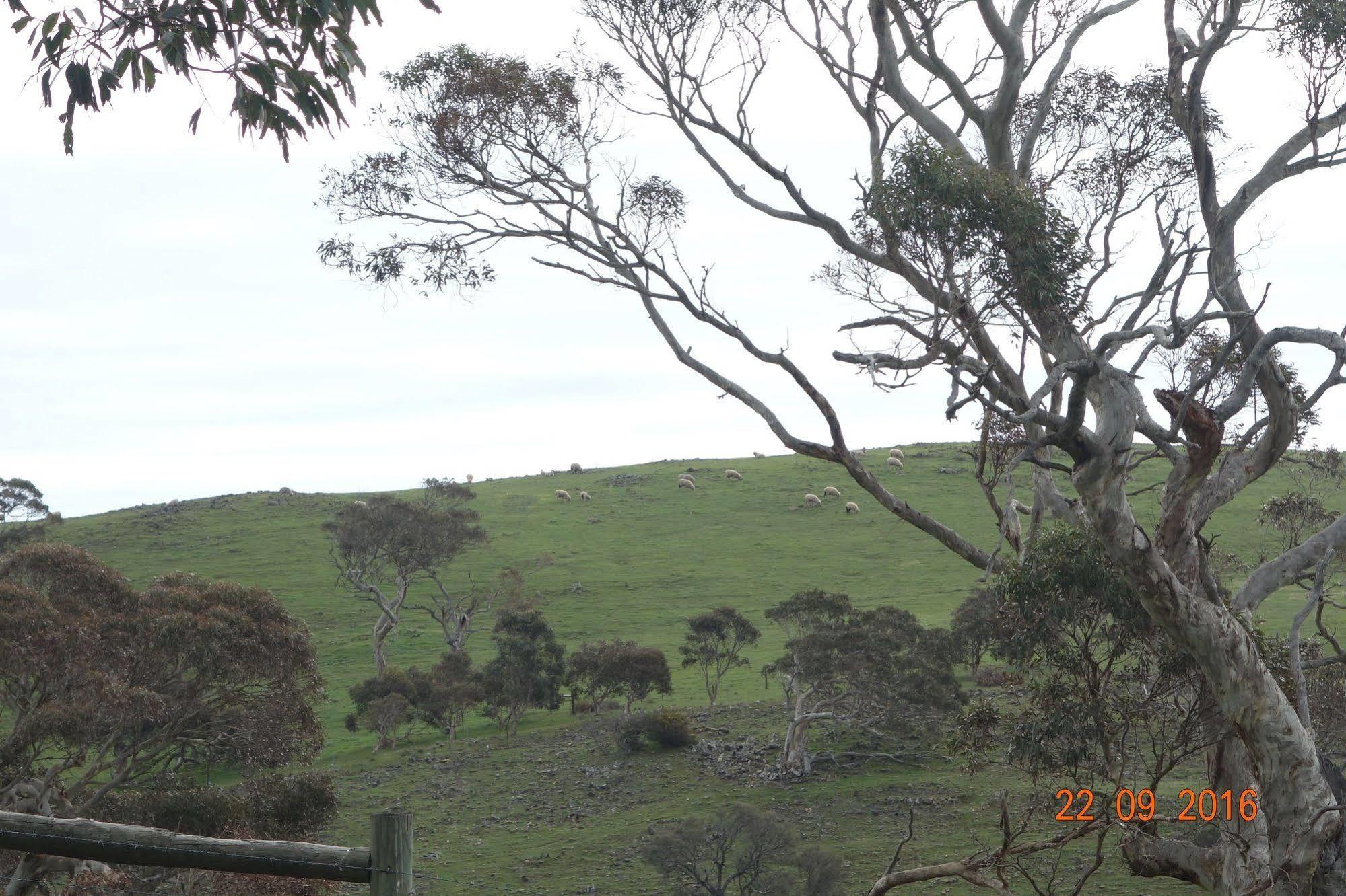 Morella Farmstay Cape Jervis Exterior photo