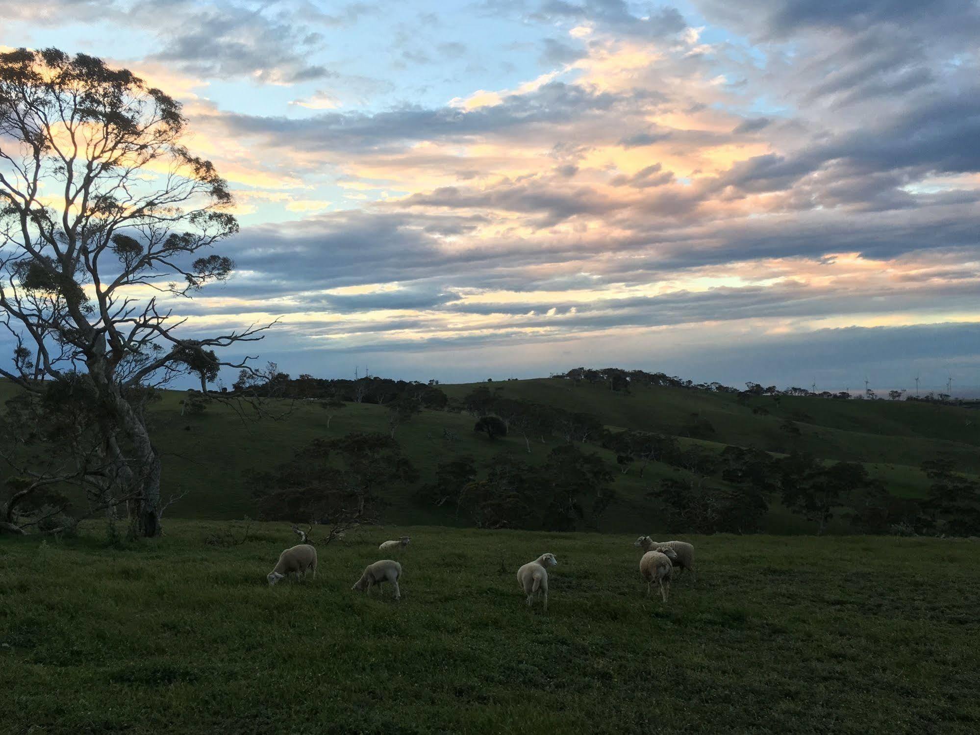Morella Farmstay Cape Jervis Exterior photo